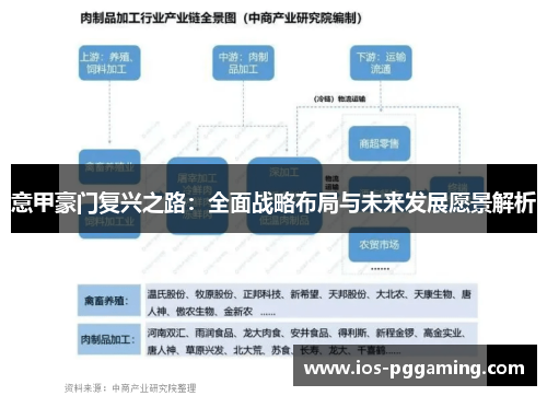 意甲豪门复兴之路：全面战略布局与未来发展愿景解析