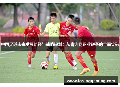 中国足球未来发展路径与战略规划：从青训到职业联赛的全面突破