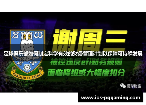 足球俱乐部如何制定科学有效的财务管理计划以保障可持续发展