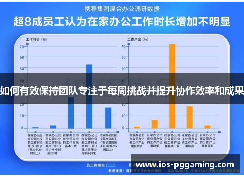 如何有效保持团队专注于每周挑战并提升协作效率和成果
