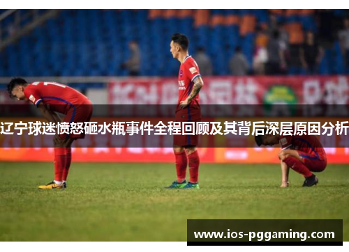 辽宁球迷愤怒砸水瓶事件全程回顾及其背后深层原因分析
