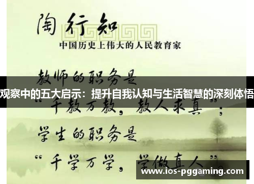 观察中的五大启示：提升自我认知与生活智慧的深刻体悟