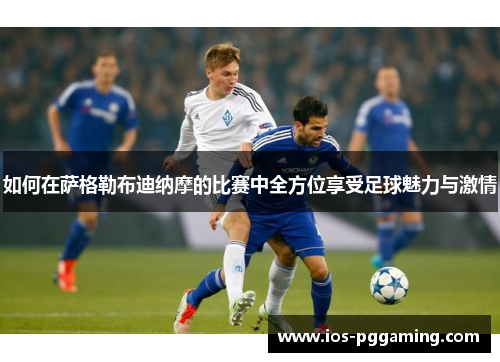 如何在萨格勒布迪纳摩的比赛中全方位享受足球魅力与激情